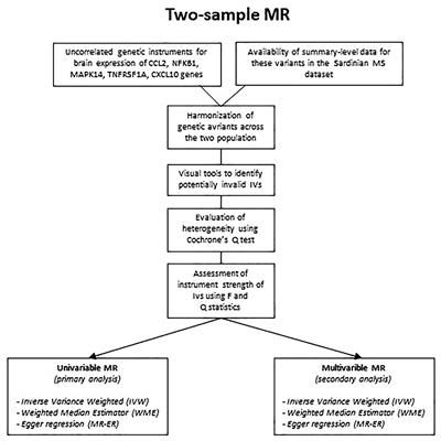 Investigating the Causal Effect of Brain Expression of CCL2, NFKB1, MAPK14, TNFRSF1A, CXCL10 Genes on Multiple Sclerosis: A Two-Sample Mendelian Randomization Approach